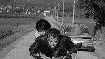 Sen Aydınlatırsın Geceyi - Fragman