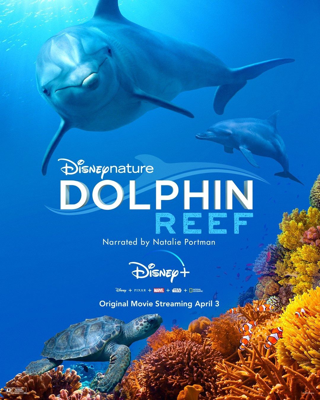 Dolphin Reef Fotoğraflar ve afişler Beyazperde