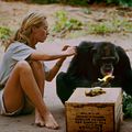 Fotoğraf Jane Goodall