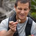 Fotoğraf Bear Grylls