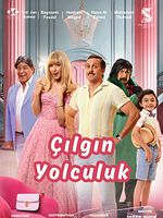 Çılgın Yolculuk posteri