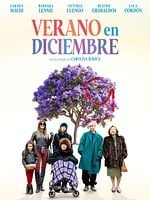 Verano en Diciembre posteri