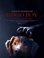 Good Boy posteri