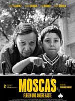 Moscas posteri