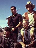 Bonanza posteri