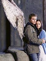 Fallen görüntüsü