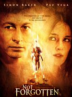 Sır Perdesi posteri