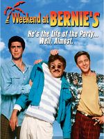 Çılgın Tatil posteri