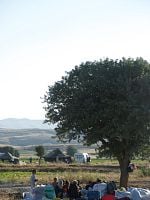 Bir Varmış Bir Yokmuş posteri