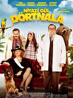 Niyazi Gül Dört Nala posteri