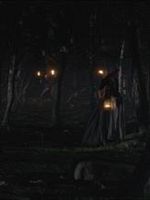 Tulen morsian posteri