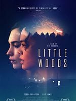 Little Woods posteri