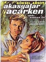 Akasyalar Açarken posteri