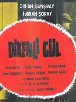 Dikenli Gül posteri