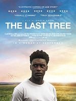 The Last Tree posteri