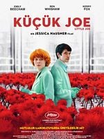 Küçük Joe posteri