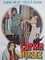 Çapkın Hırsız posteri