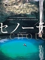 Ts'onot (Cenote) posteri