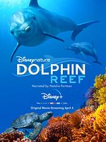 Dolphin Reef posteri