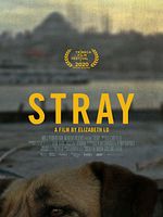 Stray posteri