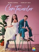 Cam Tavanlar görüntüsü