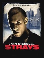 Strays posteri