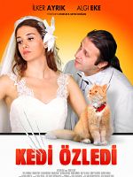 Kedi Özledi posteri