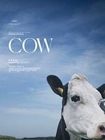 Cow posteri