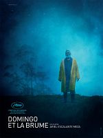 Domingo Y La Niebla posteri