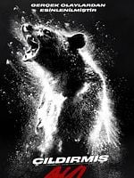 Çıldırmış Ayı posteri