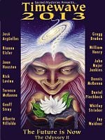 Timewave 2013 posteri