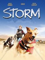 Storm posteri