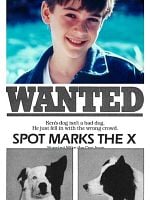 Spot Marks the X posteri