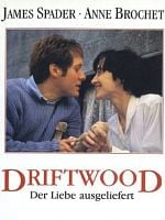 Geçmişi Ararken posteri