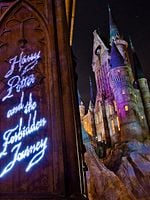 Harry Potter and the Forbidden Journey posteri