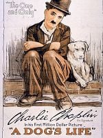 A Dog's Life posteri