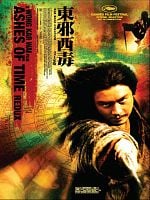 Zamanın Külleri posteri