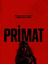Primat posteri