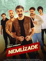 Nemlizade