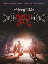 Stray Kids: The dominATE Deneyimi posteri