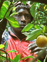 Koudous Seihon'un fotoğrafi