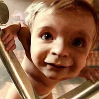 Fotoğraf Liam Falconer