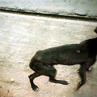 Fotoğraf Zana Briski