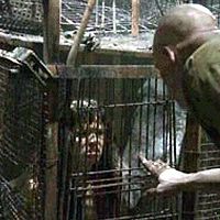 Fotoğraf Samantha Noble