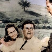 Fotoğraf Terry Moore