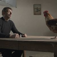 Fotoğraf Peter Van den Begin