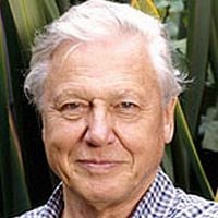 Fotoğraf David Attenborough