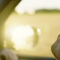 Fotoğraf Robert Finster