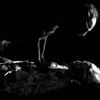 Fotoğraf Anaël Snoek