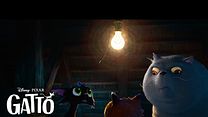 Gatto Fragman görüntüsü